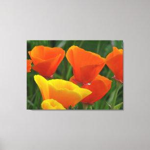 Orange och gula blommor canvastryck