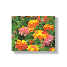 Orange och Gula blommor - Kanvastryck som har spar