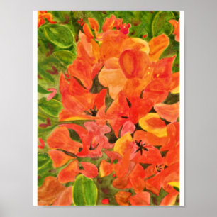 Orange och Gult Bougainvillea Watercolor Poster