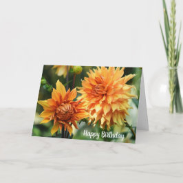 Orange och Gult Dahlia Flowers vid Wisley Gardens Kort