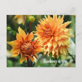 Orange och Gult Dahlia Flowers vid Wisley Gardens Vykort