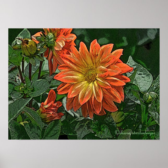 "ORANGE OCH GULT DAHLIA" POSTER (Framsidan)