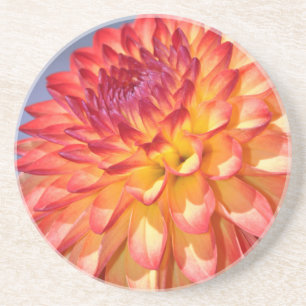 Orange och gult Dahlia Underlägg