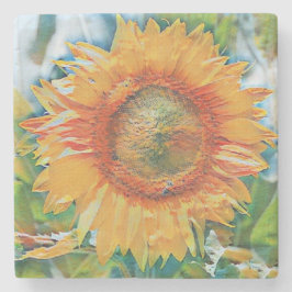 Orange och gult Solvensstenen Underlägg