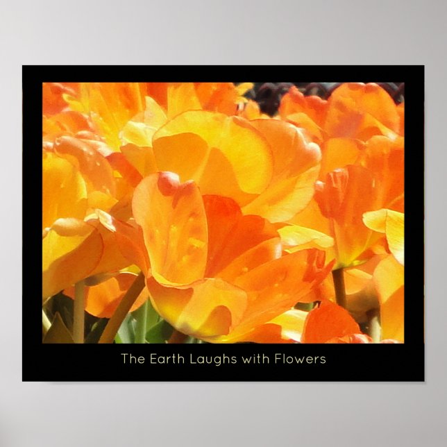 Orange och Gult Tulips Earth Laughs med Flower Poster (Framsidan)