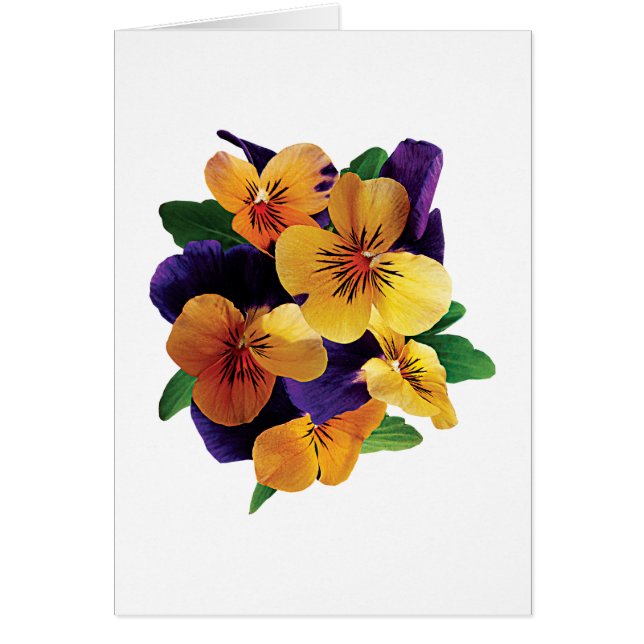 Orange och purpurfärgade Pansies Hälsningskort (Framsidan)