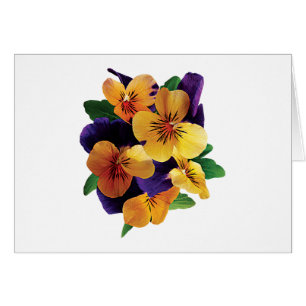Orange och purpurfärgade Pansies Hälsningskort