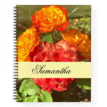 Orange och röd Blomsterträdgård