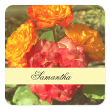 Orange och röd Blomsterträdgård