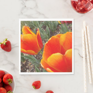 Orange och Röd Pappersservett