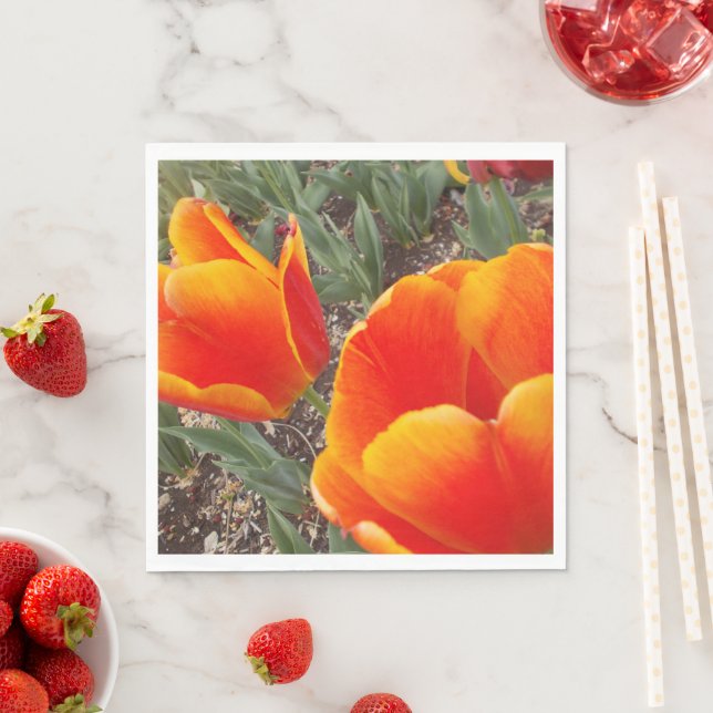 Orange och Röd Pappersservett (Insitu)