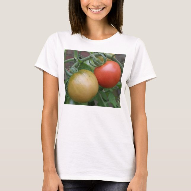 Orange och Röda Tomater Dam T Shirt (Framsida)