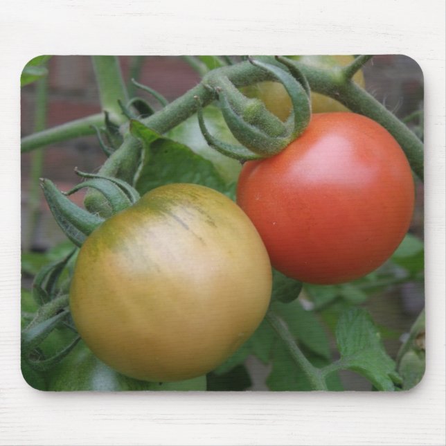 Orange och Röda tomaterna Mousepad Musmatta (Framsidan)