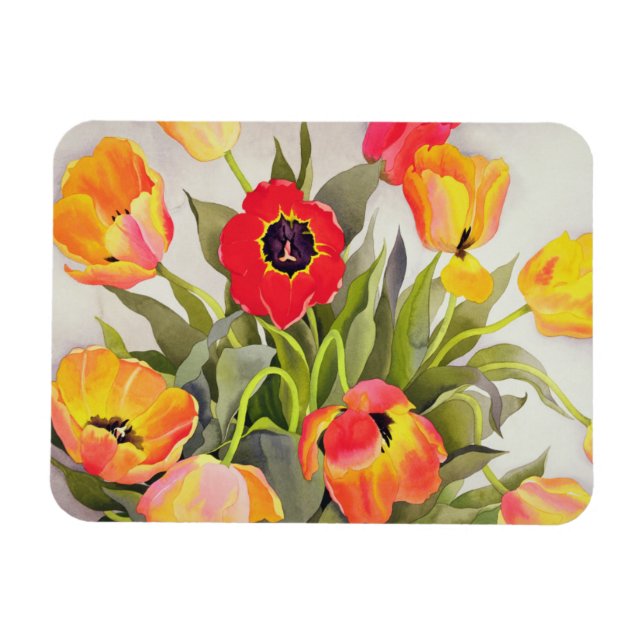 Orange- och rödtulpaner magnet (Horisontell)