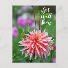 Orange och Rosa Dahlia Blomma Snart Bättre Vykort