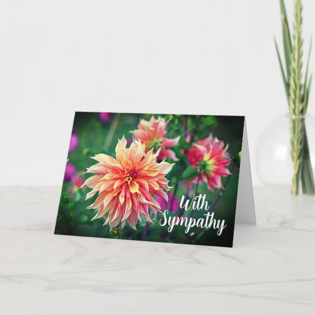 Orange och Rosa Dahlia blommar med sympati Kort (Framsida)