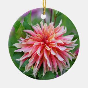 Orange och Rosa Dahlia Flower Julgransprydnad Keramik