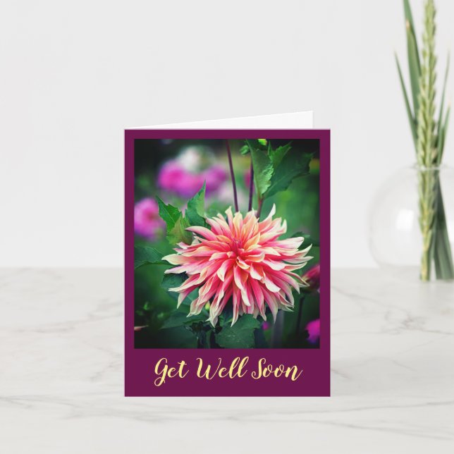 Orange och Rosa Dahlia Flower kommer snart Kort (Framsida)