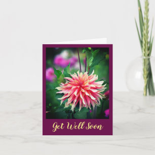 Orange och Rosa Dahlia Flower kommer snart Kort
