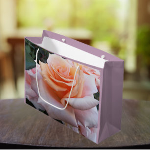 Orange och Rosa ros Blommigt