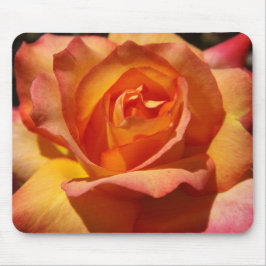 Orange och Rosa ros Musmatta