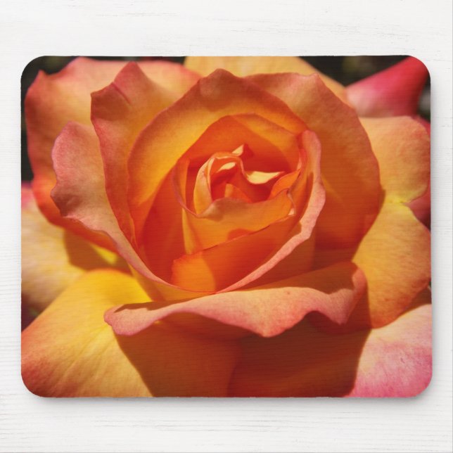 Orange och Rosa ros Musmatta (Framsidan)