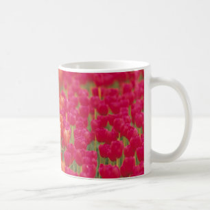 Orange och Rosa Tulips Kaffemugg
