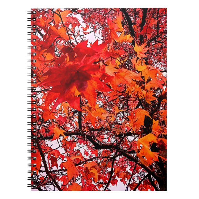 Orange och rött löv anteckningsbok (Framsidan)
