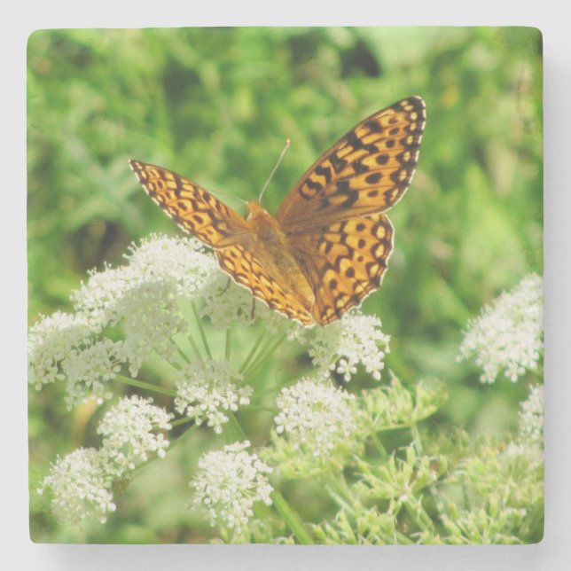 Orange och svart fjäril med vita blommor stenunderlägg (Framsidan)