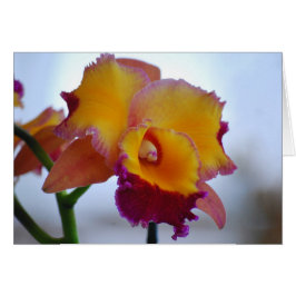 Orange och Violet Cattleya Orchid Card Hälsningskort