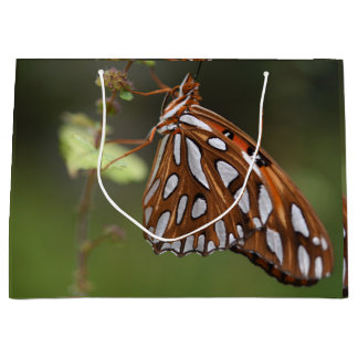 Orange och vit Bukt Butterfly Grönt Bukt