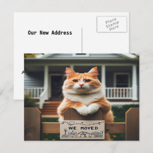 Orange och vit hankatt vi flyttade meddelande vykort