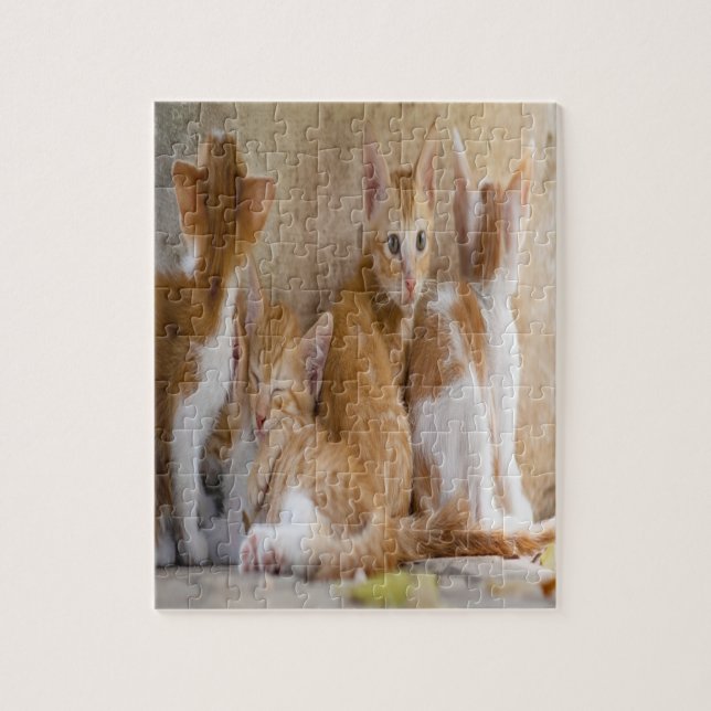 Orange och vit tablett Kitten/lägg till foto till  Pussel (Vertikal)