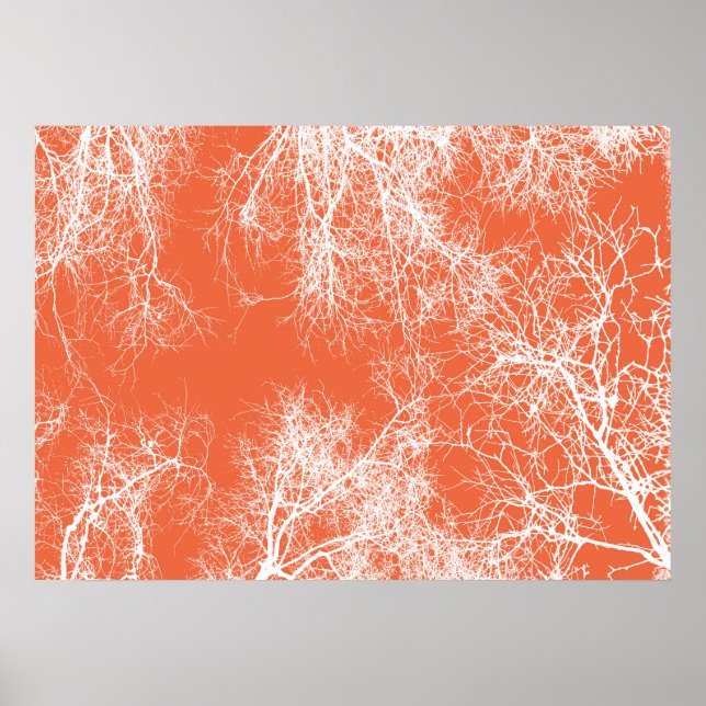Orange och vitt silhuetterat träd poster (Framsidan)