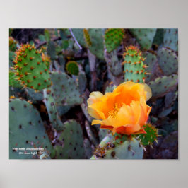 Orange opuntia prickly pear cactus blommar foto poster