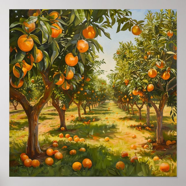 Orange Orchard Poster (Framsidan)