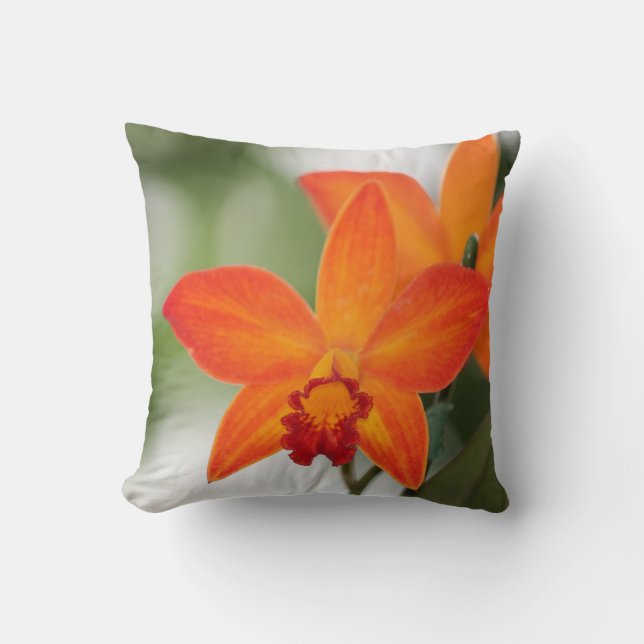 Orange Orchidbomull kudder Kudde (Framsida)