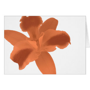 Orange Orchidkort Hälsningskort
