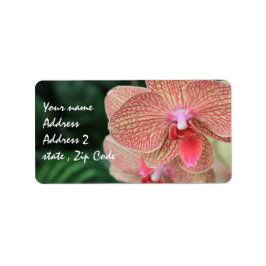 Orange Orchids Adressetikett