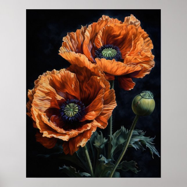Orange Oriental Poppy Flowers Art Print Poster (Framsidan)