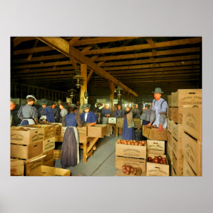 Orange Packing House Förmodligen Covina California Poster