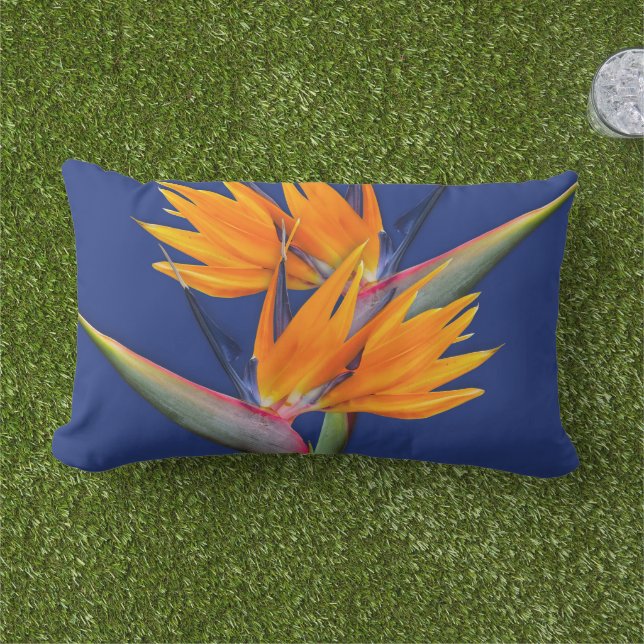 Orange Paradisfågel Navy Kastkudde Lumbarkudde (Gräs)