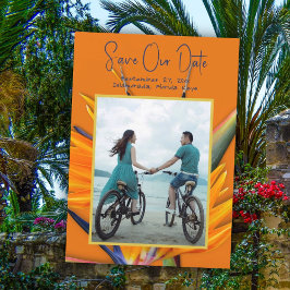 Orange Paradisfågeln Spara datum-anmälan Datumet