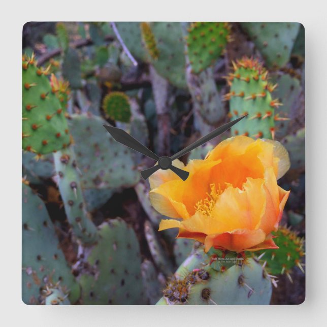 Orange Pärlkramp (opuntia) Fyrkantig Klocka (Framsida)