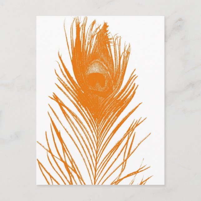 Orange Peacock Feather-vykort Vykort (Framsida)
