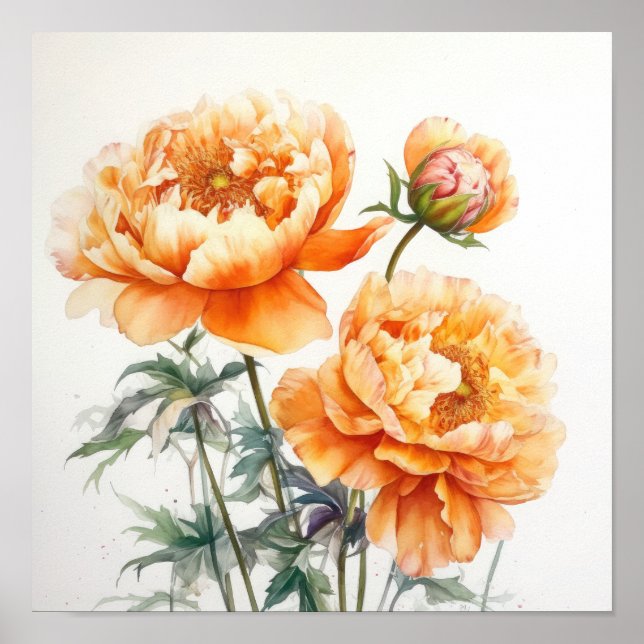 Orange Peonies Flower Art Print Poster (Framsidan)
