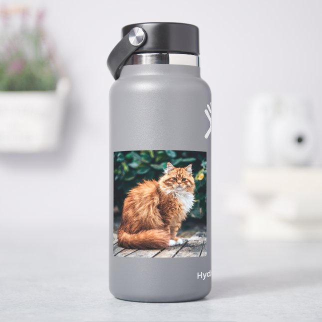 Orange Persian Cat Klistermärken (HydroFlask)