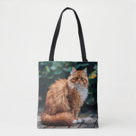 Orange Persian Cat Tygkasse