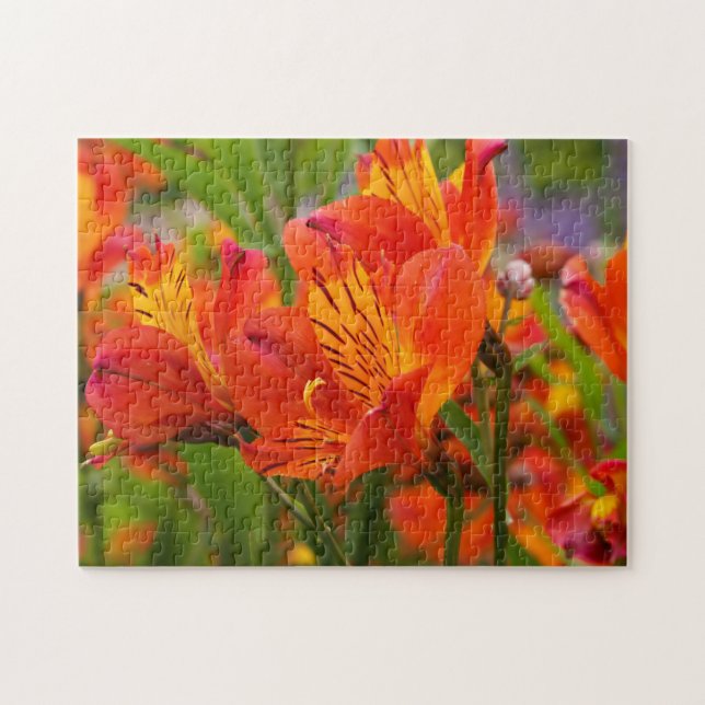 Orange Peruvian Lily Jigszle Puzzle Pussel (Horisontell)