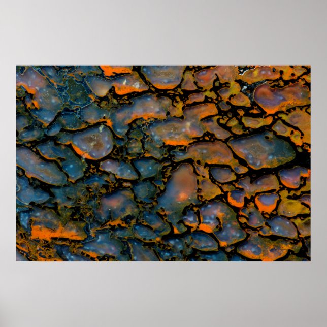 Orange Petrified dinosaur bone Poster (Framsidan)